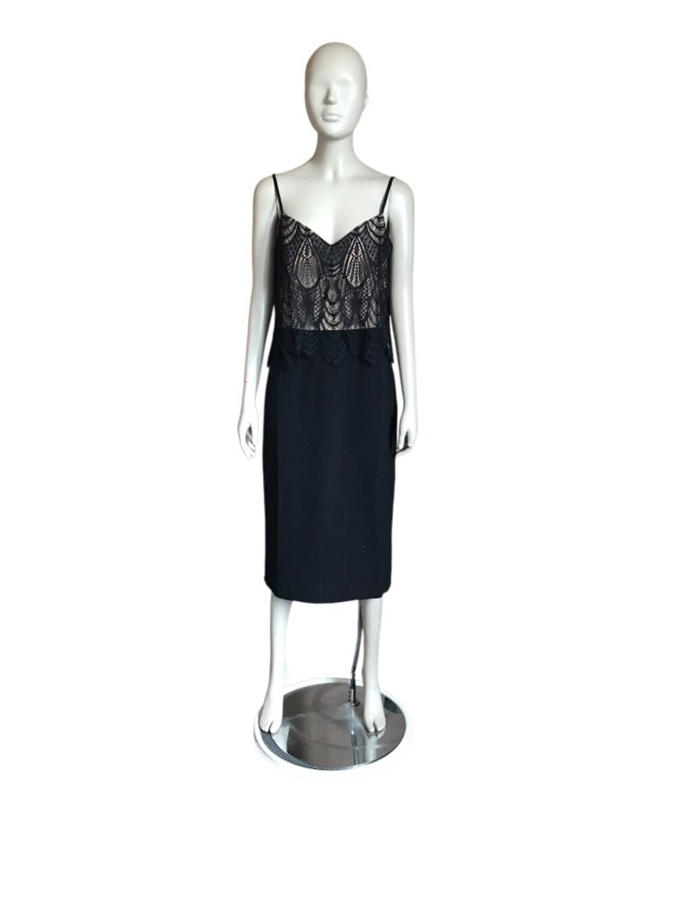 NWT Dress the Population Black and Beige A Line Dress